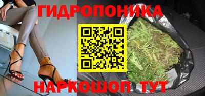 СК Кузнецк