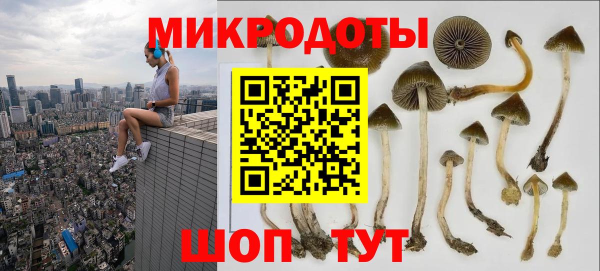Галлюциногенные грибы Psilocybe  Псилоцибиновые грибы Psilocybe  Горно-Алтайск  Вход с VPN 