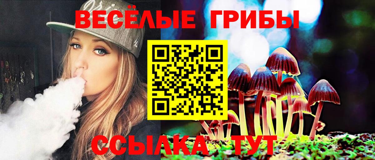 Псилоцибиновые грибы GOLDEN TEACHER Горно-Алтайск